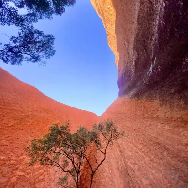 trip uluru