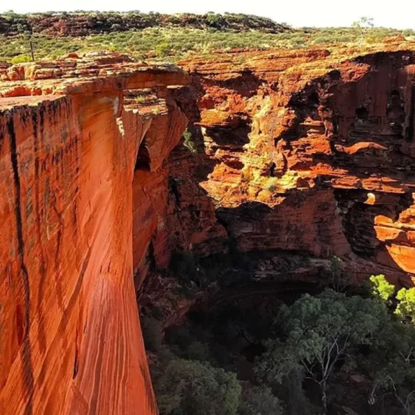 uluru and kings canyon tour