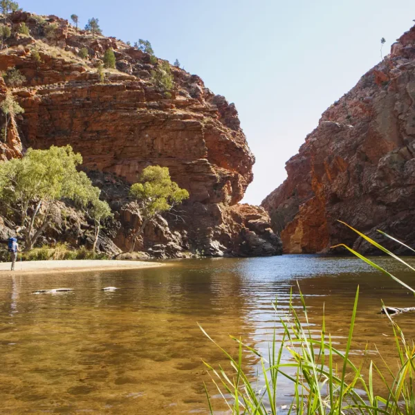 uluru and kings canyon tours
