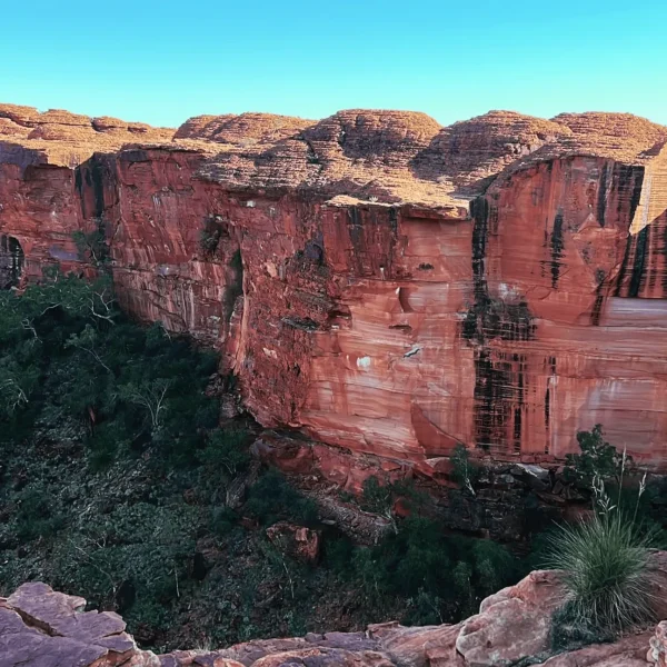 uluru kings canyon tour