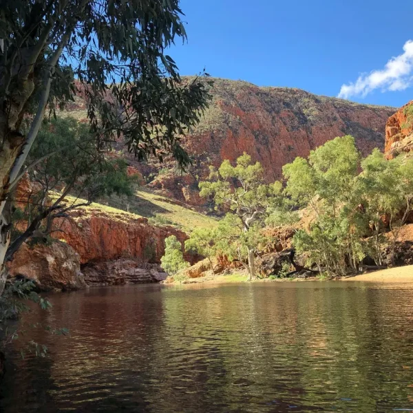 uluru kings canyon tour
