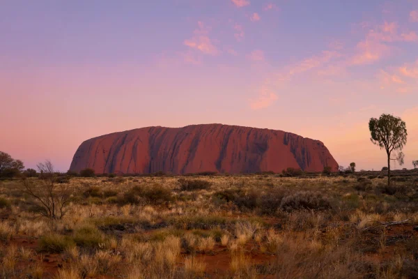 uluru tours