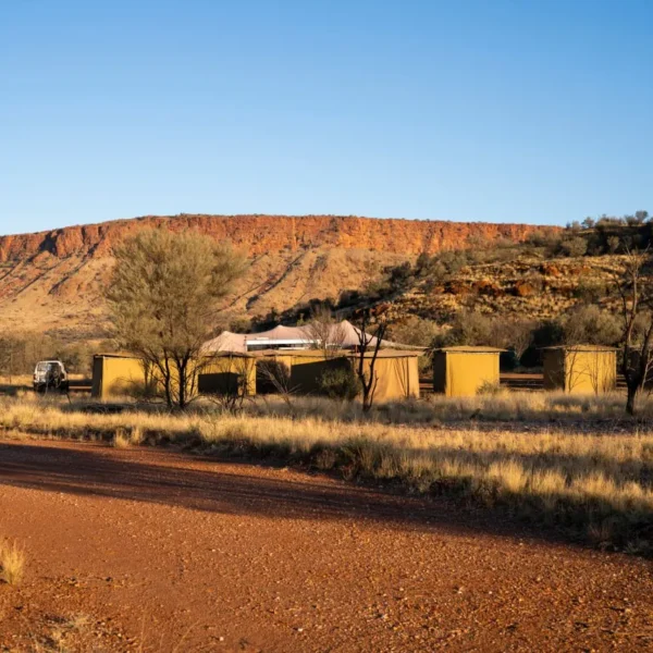 larapinta trail northern territory