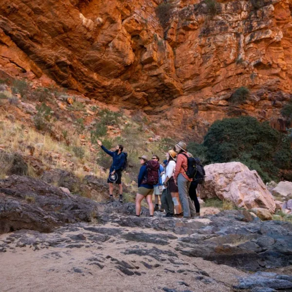 larapinta trail walk
