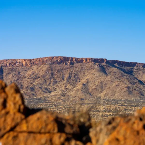 larapinta trails
