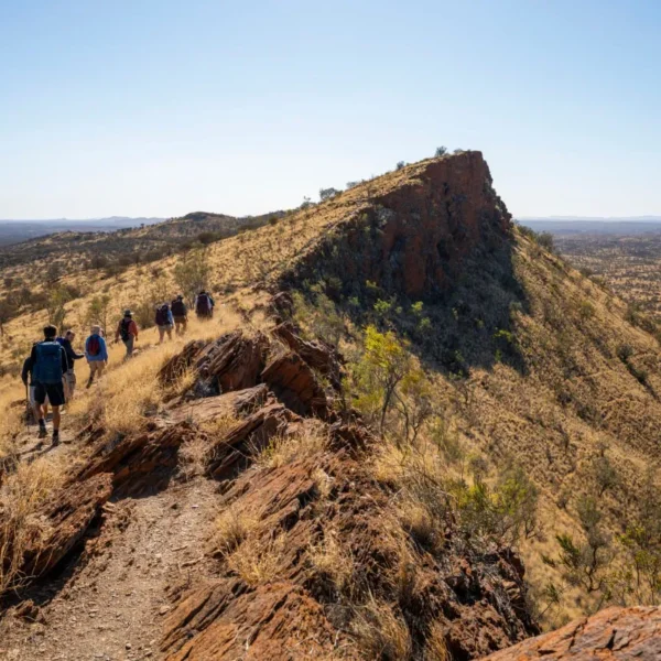 larapinta trek