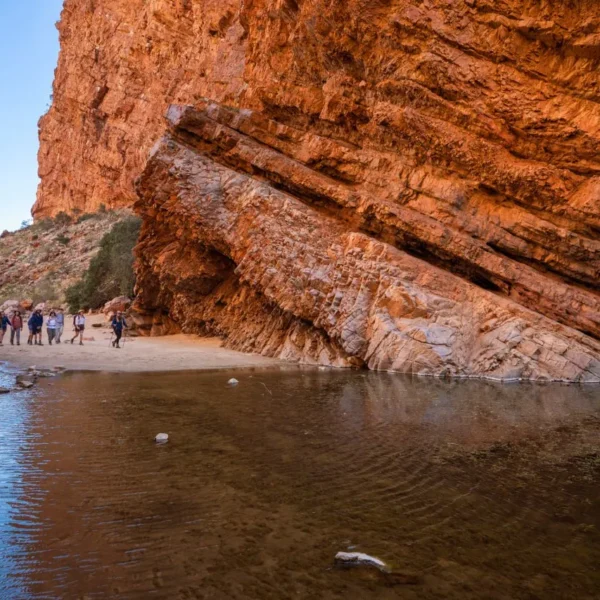larapinta walk