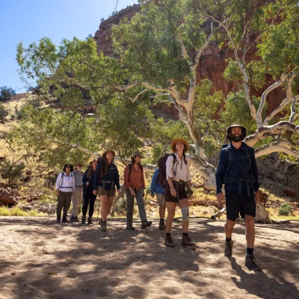 the larapinta trail