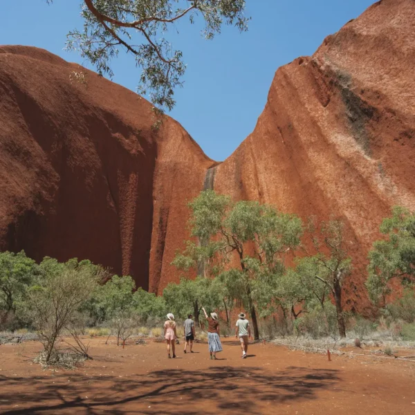 kata tjuta tours